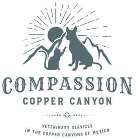 Compassion Copper Canyon
